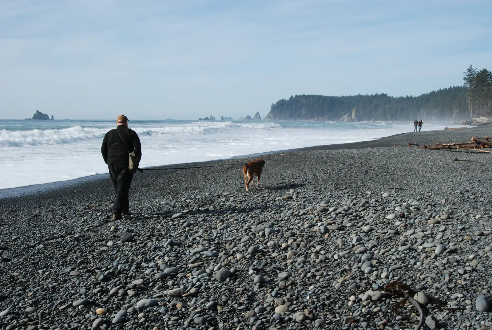 A hiker walks a dog along a pebble beach at Rialto Beach in Olympic National Park, Washington.