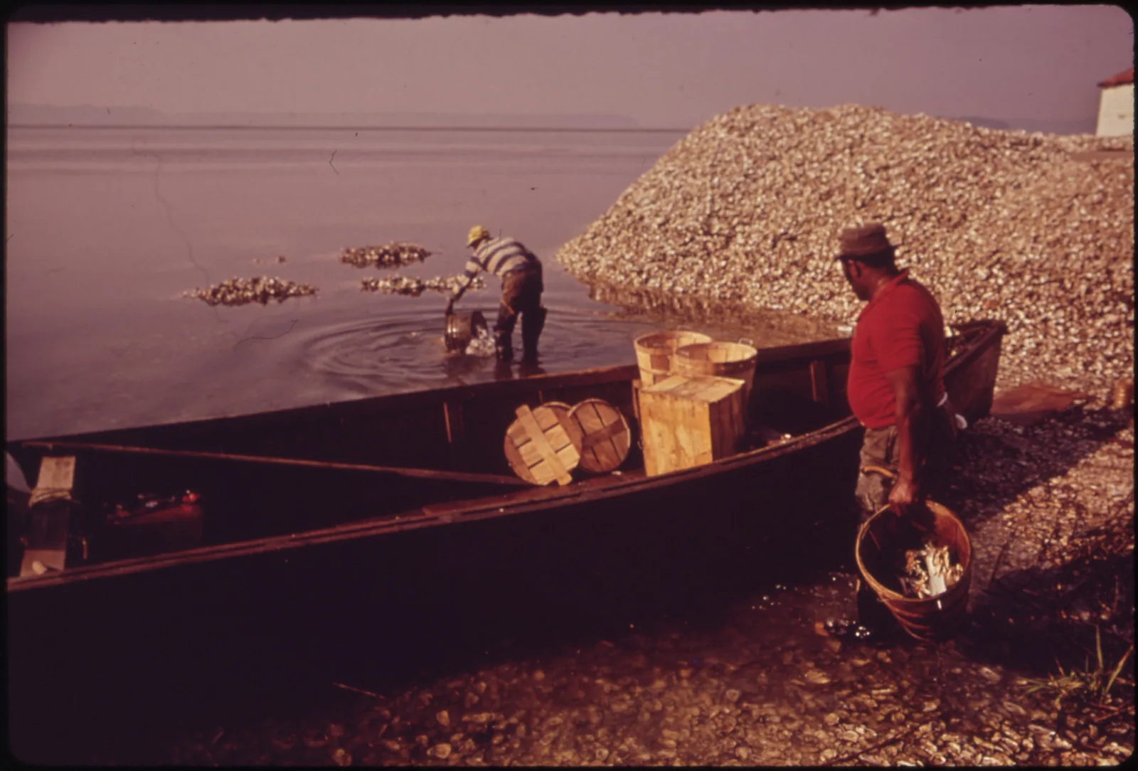 Members of the Bluffton oyster cooperative unload a bateau beside a mound of oyster shells on the May River in 1973.
