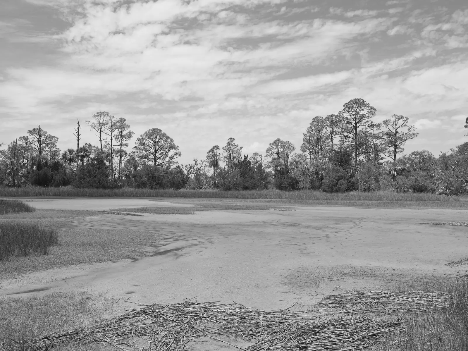 Salt marsh and a line of trees on the horizon at Pinckney Island National Wildlife Refuge in Beaufort County, S.C.